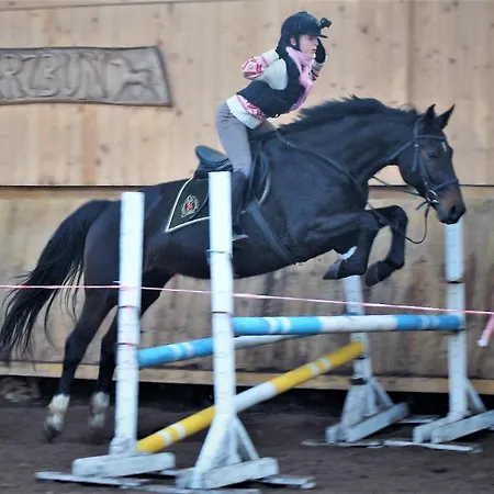 Stadnina Koni Kierzbun