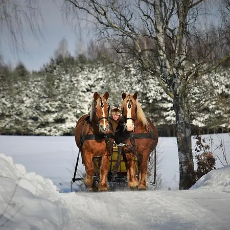 Farm stay Stadnina Koni Kierzbun Barczewo
