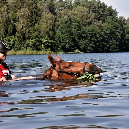 Farm stay Stadnina Koni Kierzbun Barczewo