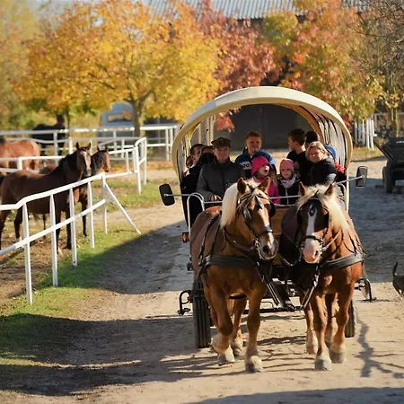 Farm stay Stadnina Koni Kierzbun Barczewo