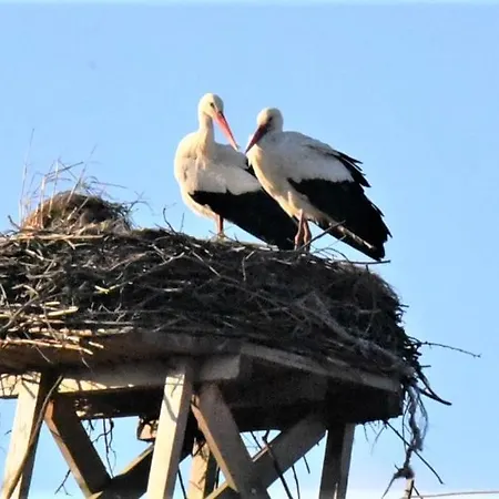 Hotel Stadnina Koni Kierzbun Barczewo