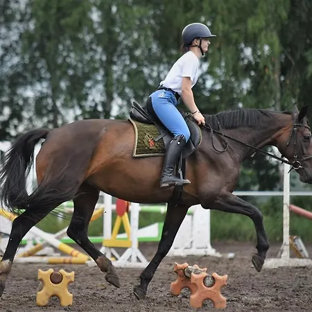Stadnina Koni Kierzbun Barczewo