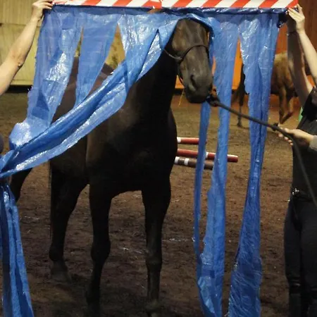 Stadnina Koni Kierzbun * Barczewo