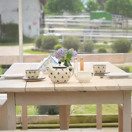 Stadnina Koni Kierzbun Farm stay Barczewo