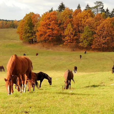 Stadnina Koni Kierzbun * Barczewo
