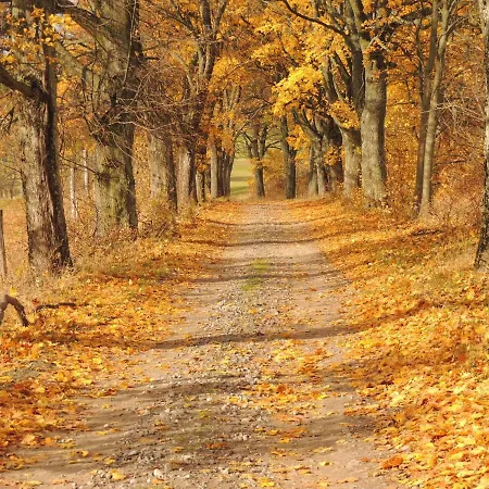 Hotel Stadnina Koni Kierzbun *