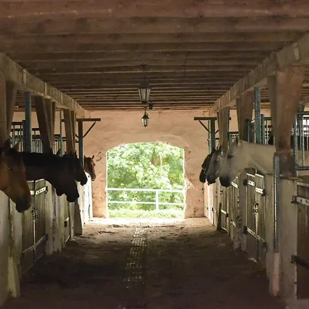 Farm stay Stadnina Koni Kierzbun
