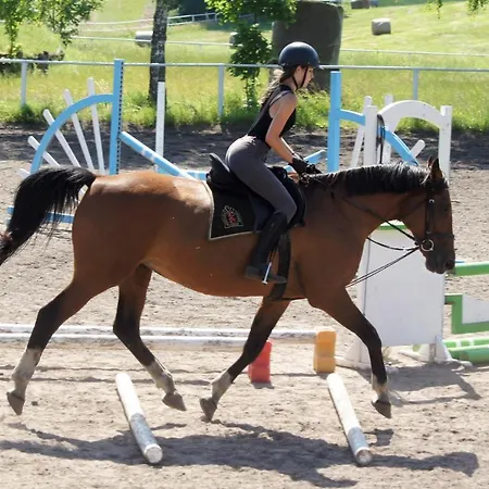 Stadnina Koni Kierzbun *