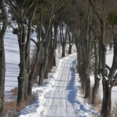 Stadnina Koni Kierzbun *