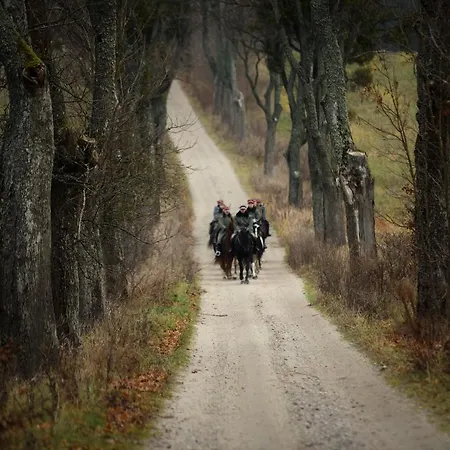 Stadnina Koni Kierzbun Barczewo