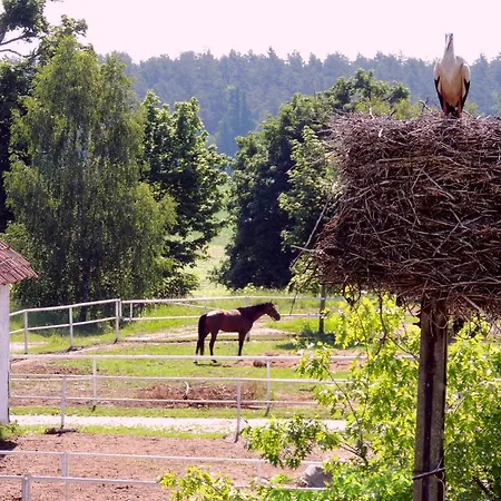 Stadnina Koni Kierzbun Farm stay