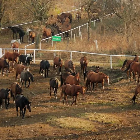 Stadnina Koni Kierzbun Farm stay Barczewo